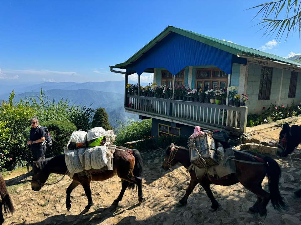 Trek Darjeeling, Sikkim & the Singalila Ridge - Exodus Adventure Travels - India - Image 7