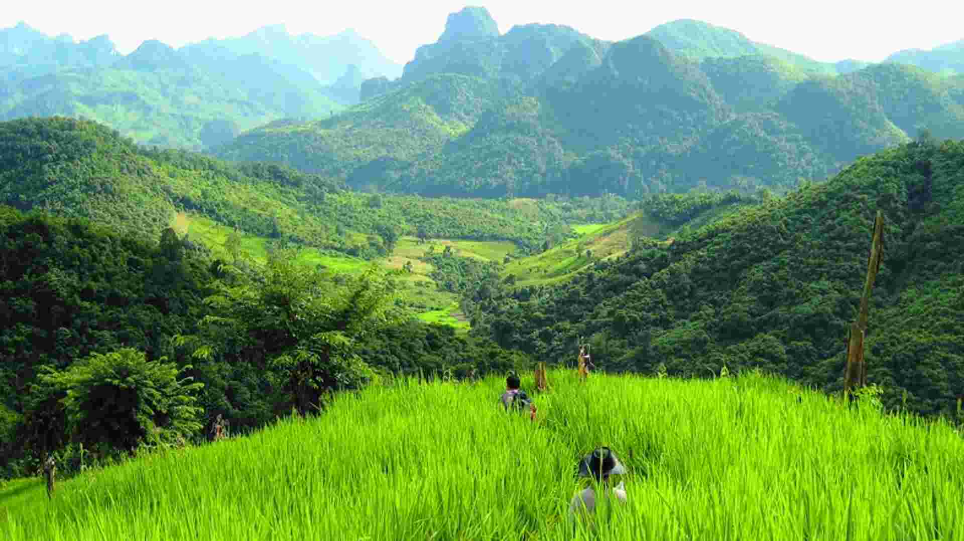 Day Hike: Longhut Trail
