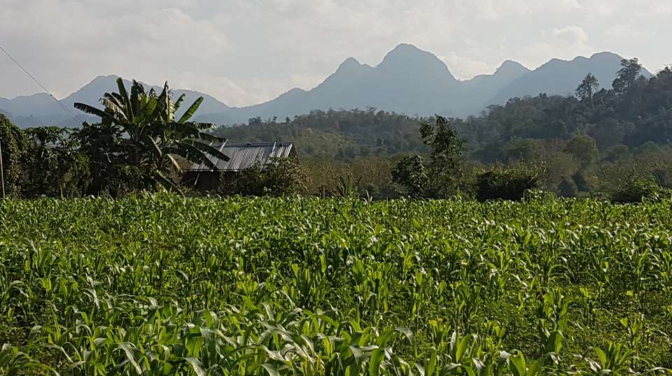 Day Hike: Longhut Trail - undefined - Image 4