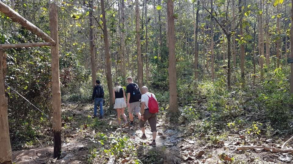 Day Hike: Longhut Trail - undefined - Image 5