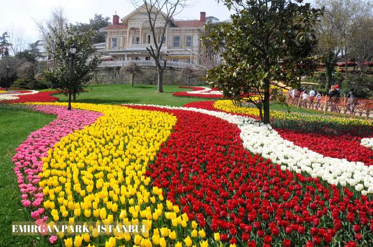 Istanbul Tulip Festival Group Tour trip - alternative tour available