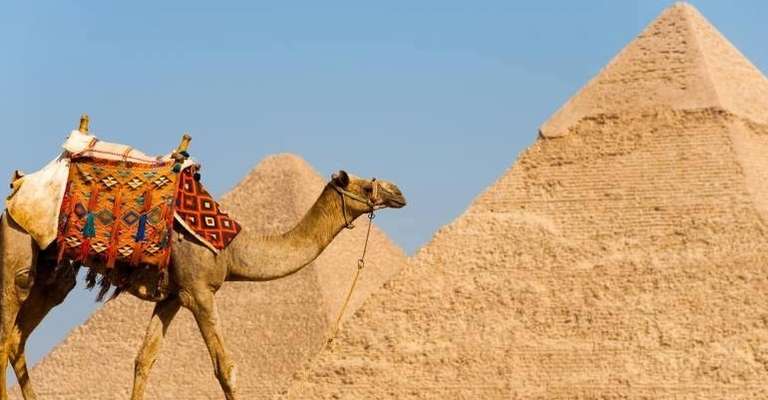Day Tour to Giza Pyramids Old Cairo Citadel and Bazaar trip - alternative tour available