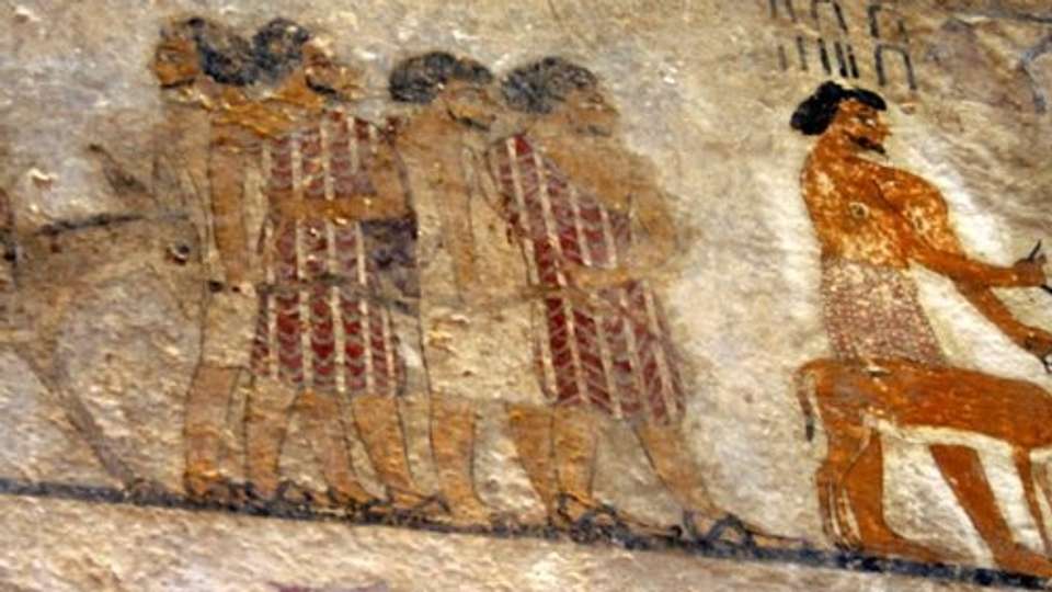Day Tour to West Bank in Luxor -Visit Valley of the Kings - Emo Tours - Egypt - Image 3
