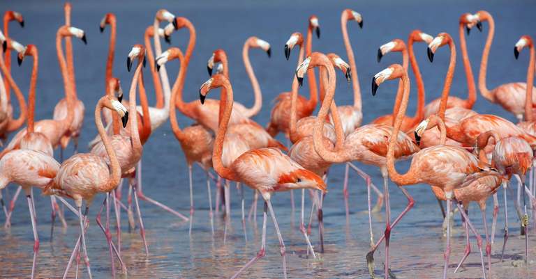 Ngorongoro crater day tour. trip - alternative tour available
