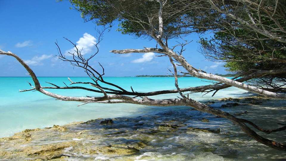 Dazzling Maldives and Qatar - Indus Travels - Maldives - Image 9