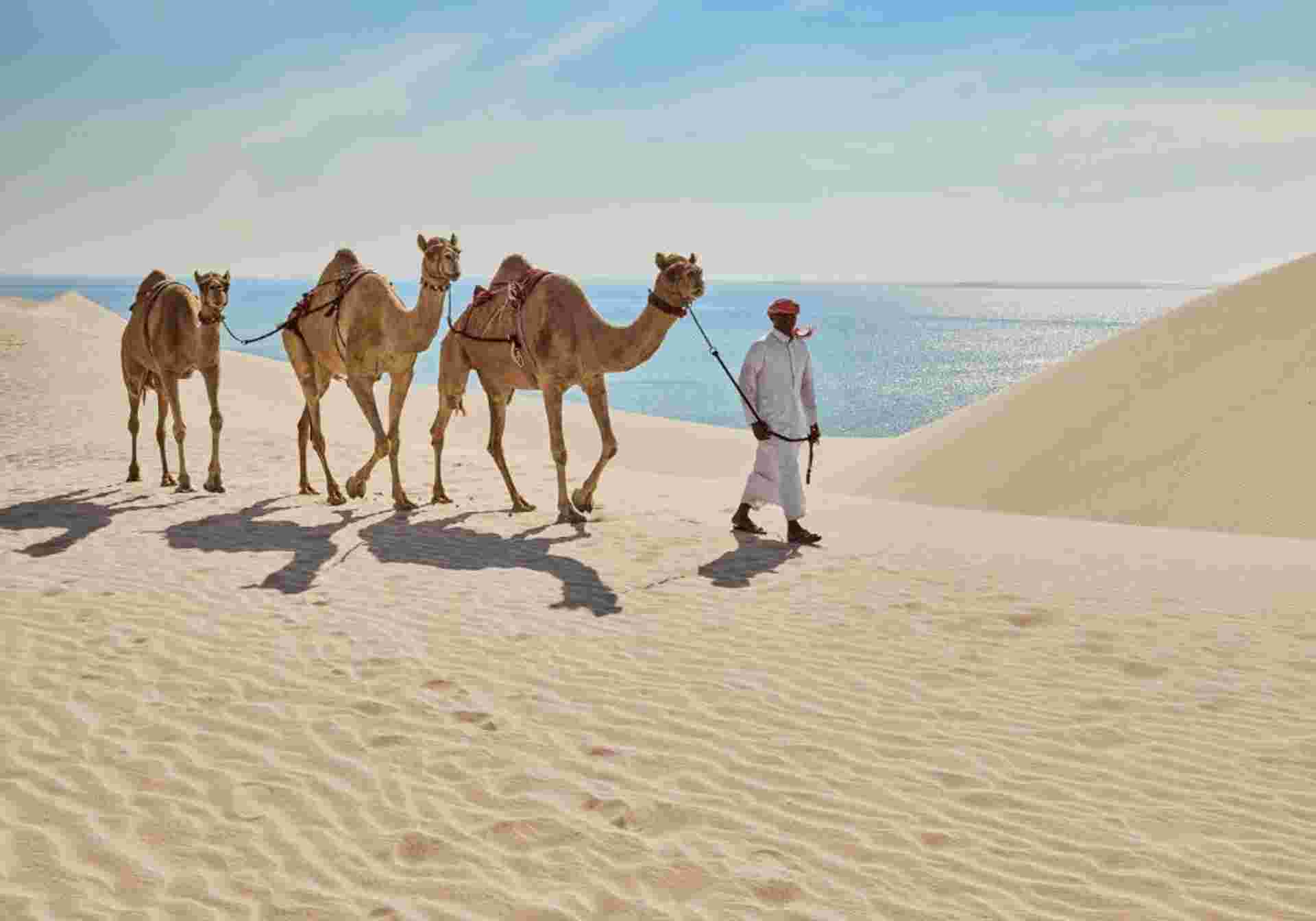 Dazzling Maldives and Qatar