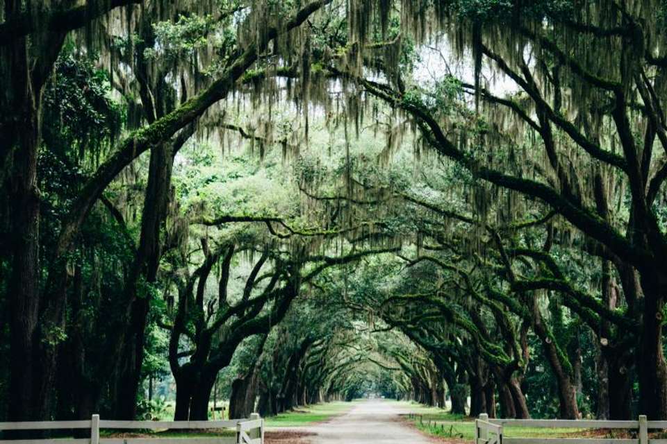Deep South Discovery - Omega Tours - USA - Image 3