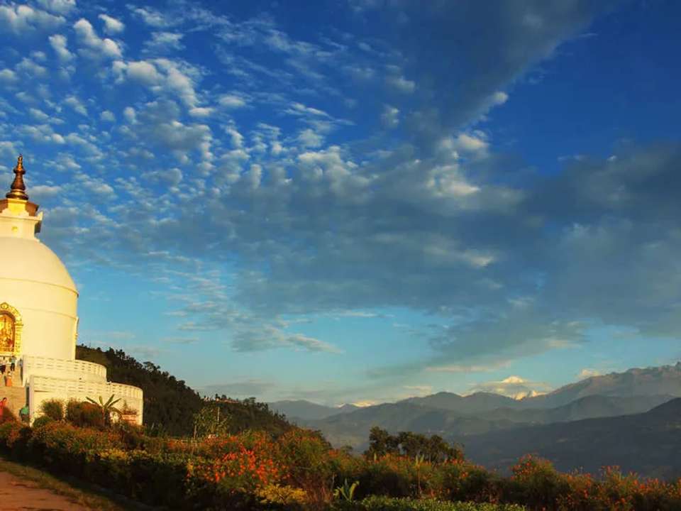 Image 15 of 17
