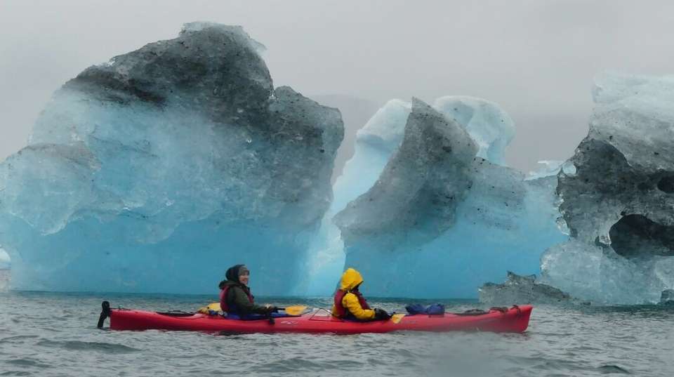 Denali Alaska Highlights - Infinite Adventures - USA - Image 1