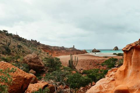Desert Drifts & Baja Beaches 7d/6n (from Los Cabos) - Fall Tours