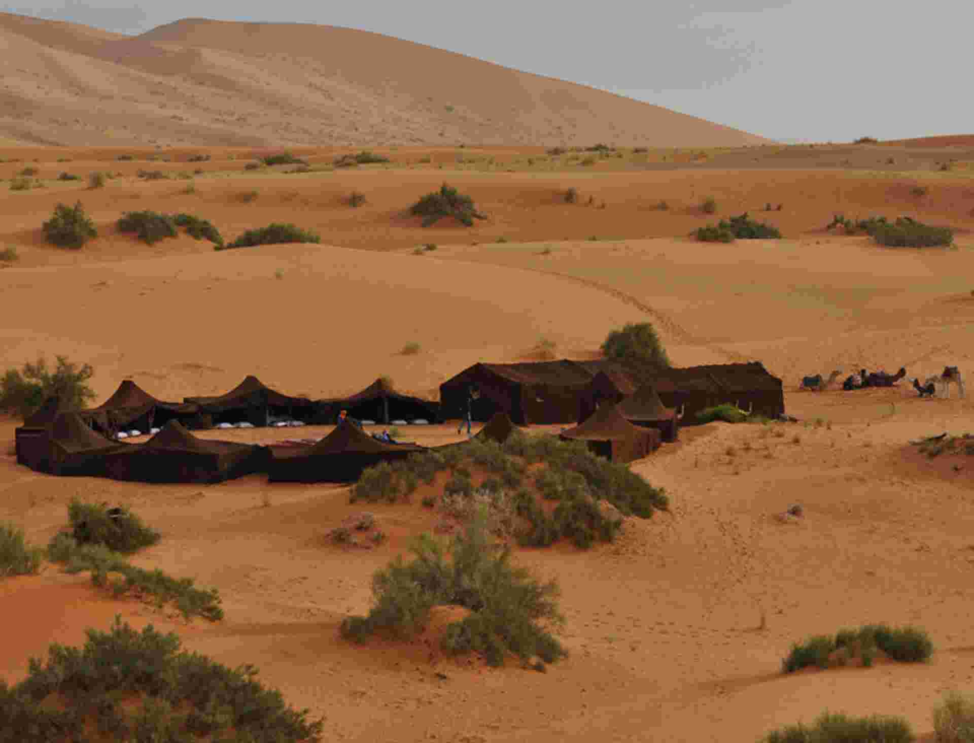 Deserts & Delta Family Overland