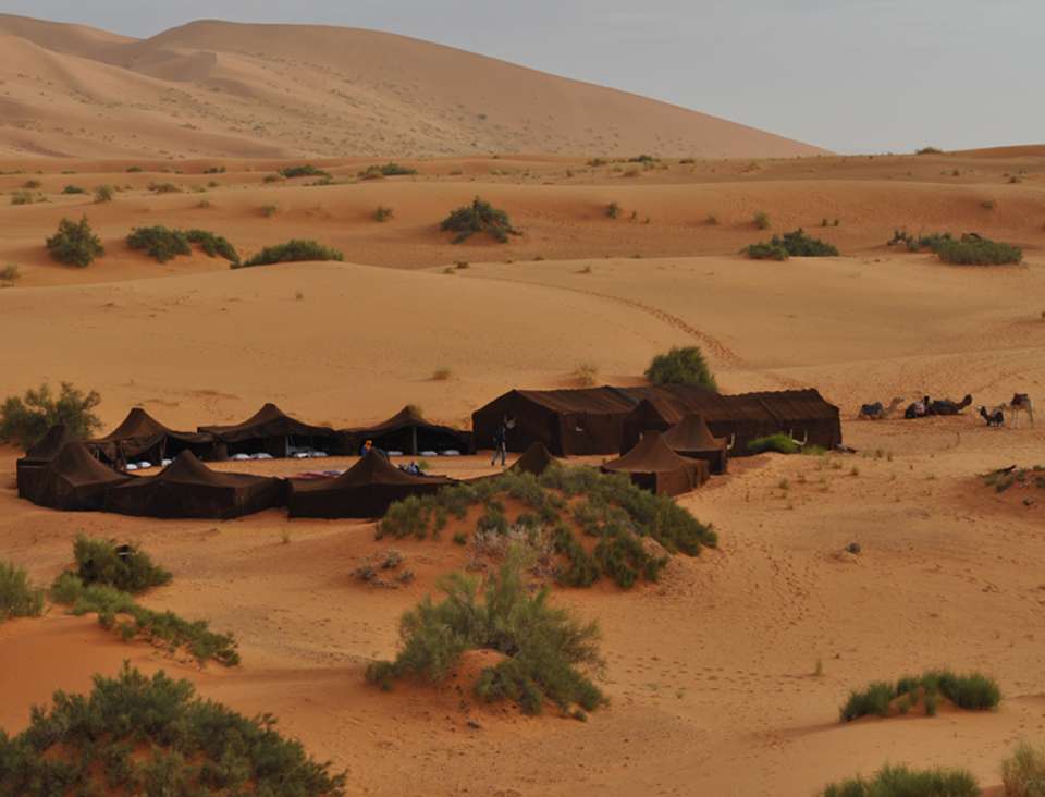 Deserts & Delta Family Overland - Oasis Overland - Zimbabwe - Image 1