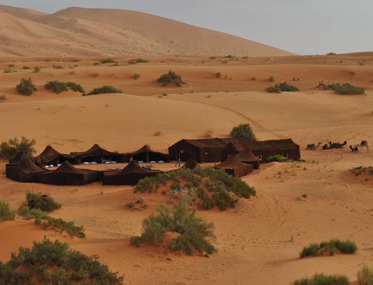 Deserts & Delta Family Overland trip - alternative tour available