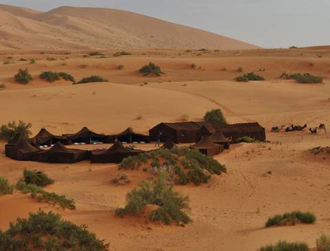 Deserts & Delta Family Overland - 15 Days