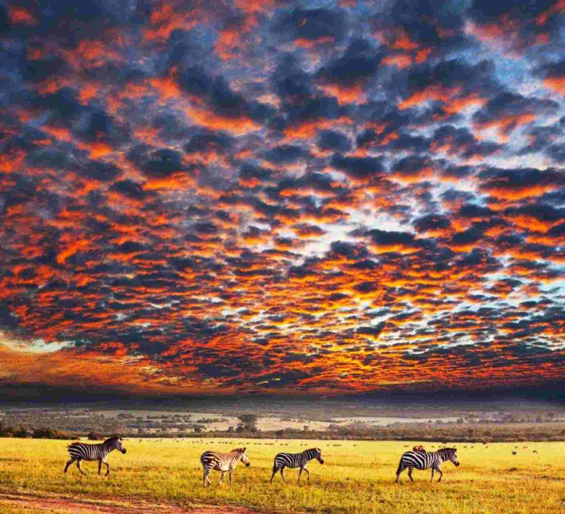 Deserts Of Namibia, Private Tour (on Request)