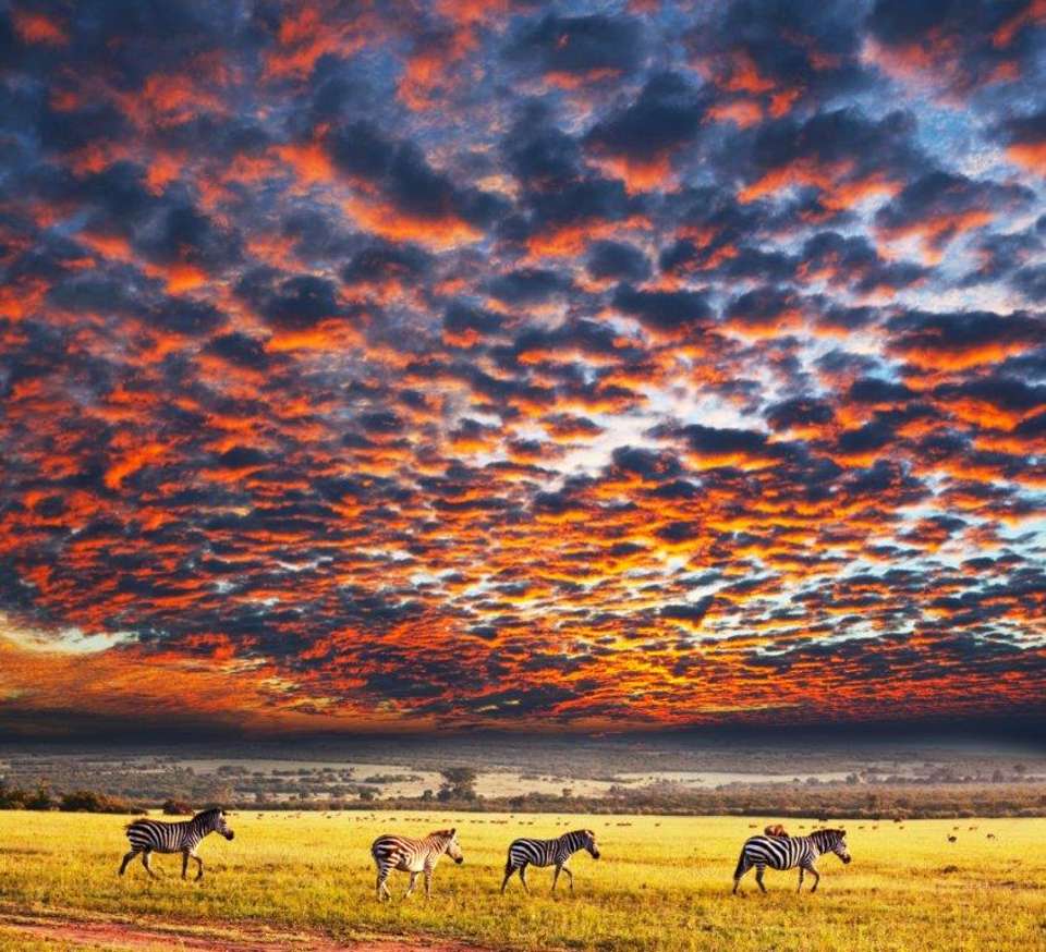 Deserts Of Namibia, Private Tour (on Request) - Destination Services - Namibia - Image 1