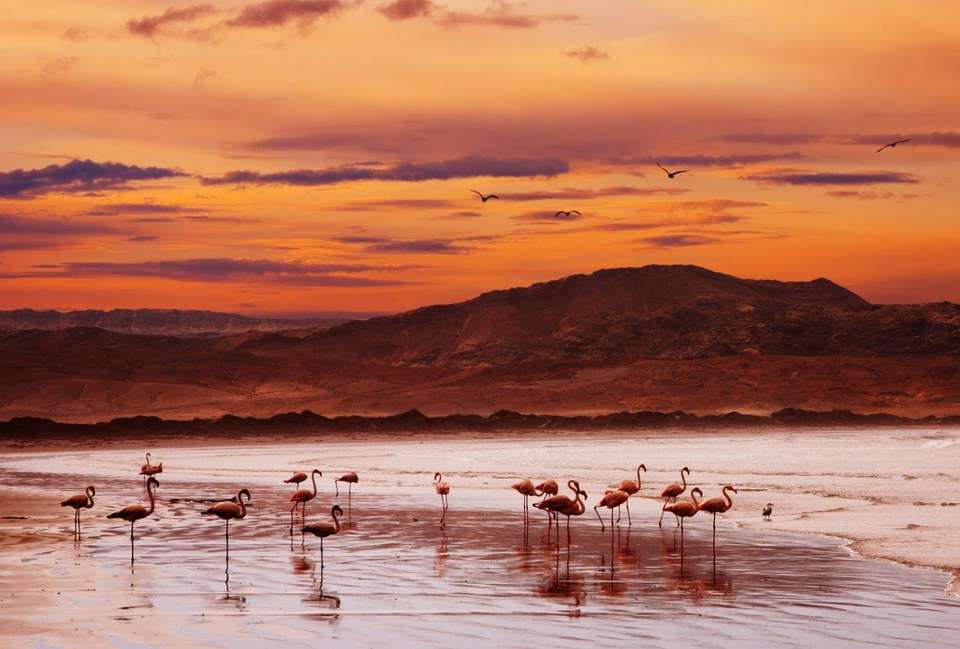 Deserts Of Namibia, Private Tour (on Request) - Destination Services - Namibia - Image 3