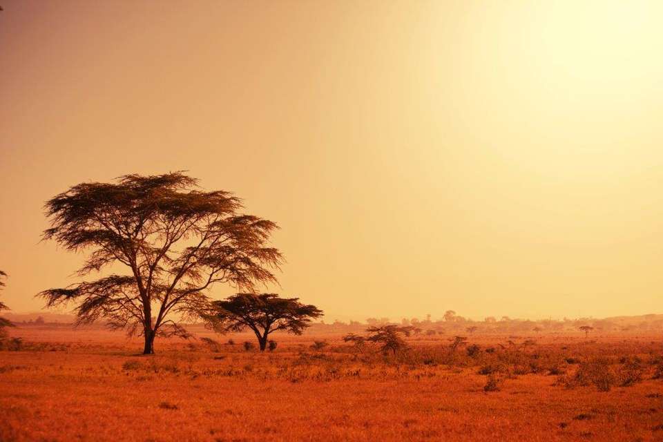 Deserts Of Namibia, Private Tour (on Request) - Destination Services - Namibia - Image 7