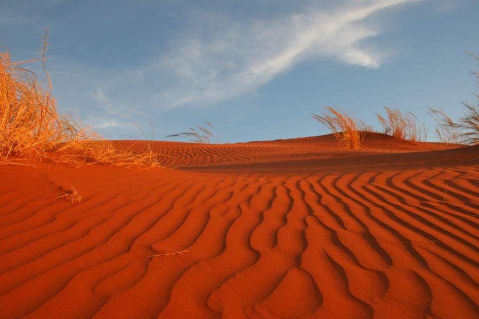 Deserts Of Namibia, Private Tour (on Request) - Destination Services - Namibia - Image 8