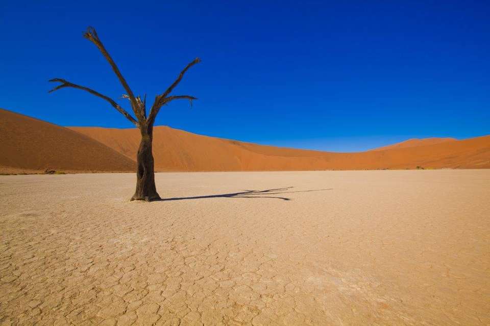 Deserts Of Namibia, Private Tour (on Request) - Destination Services - Namibia - Image 9