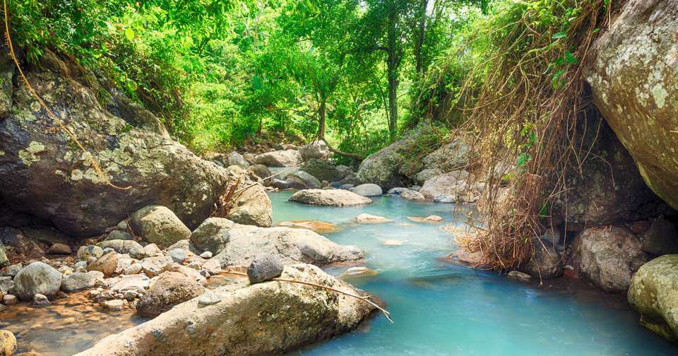 Discover Bali, Flores and Komodo Islands - Explore - Indonesia - Image 8