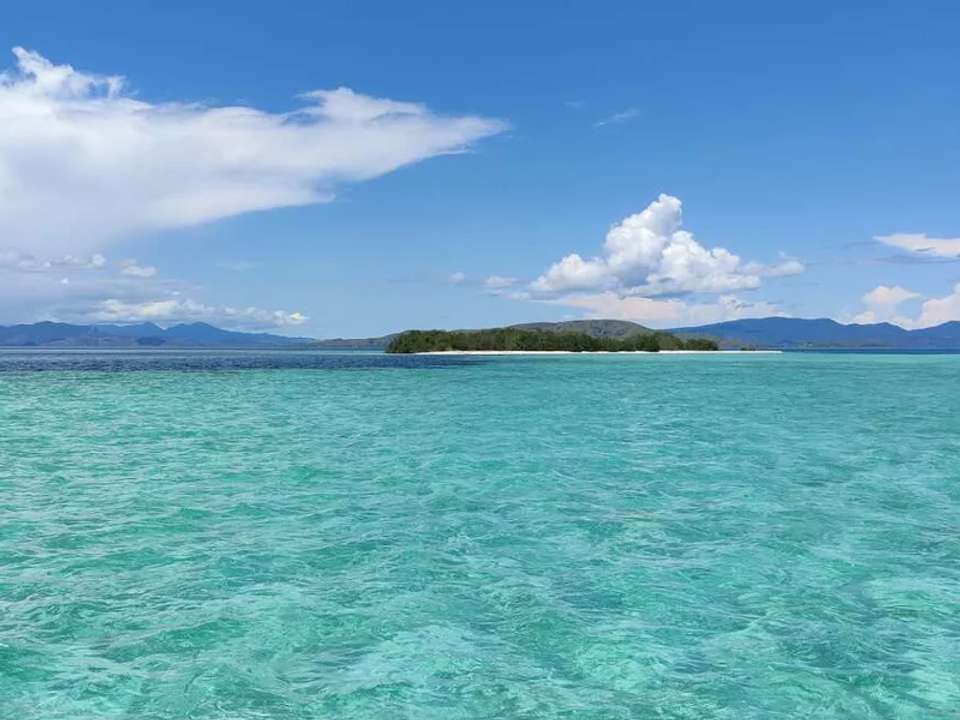 Image 12 of 15