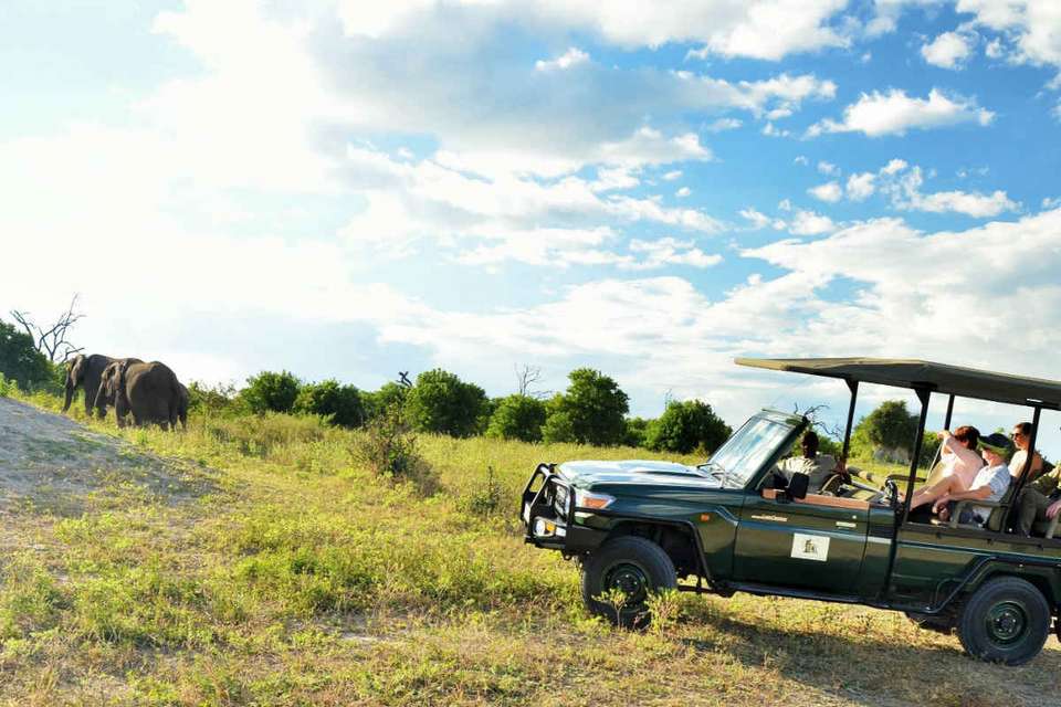 Discover Botswana & Victoria Falls - undefined - Image 15