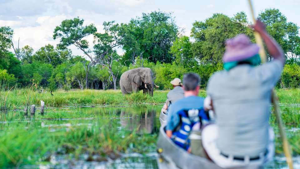 Discover Botswana & Victoria Falls - undefined - Image 4