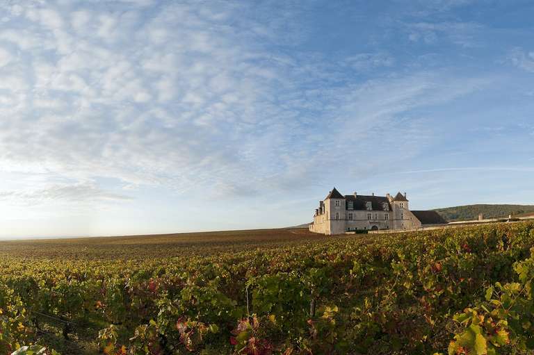 Discover Burgundy & Alsace – Premium Adventure trip - alternative tour available