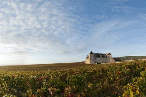Discover Burgundy & Alsace – Premium Adventure