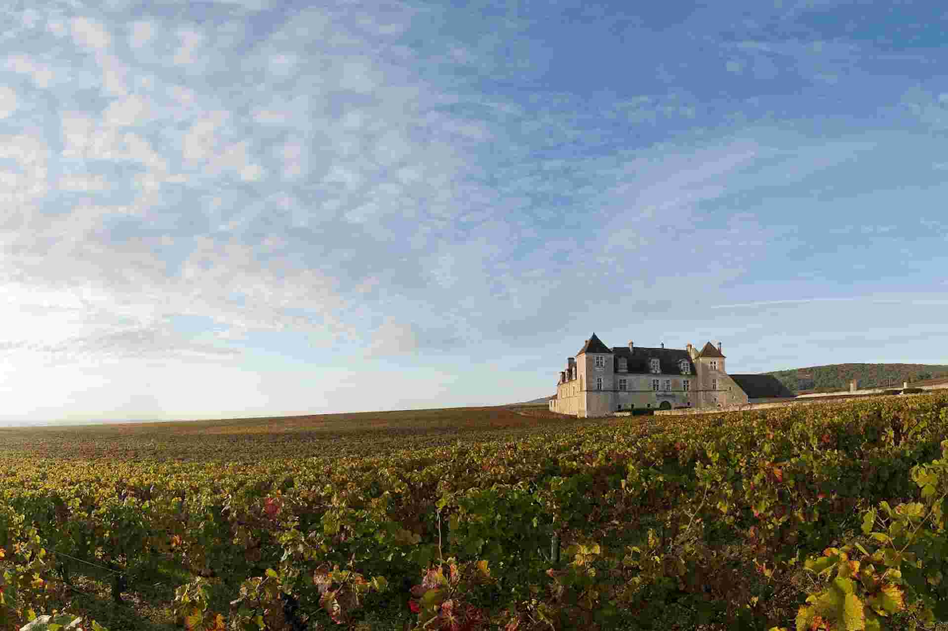Discover Burgundy & Alsace – Premium Adventure