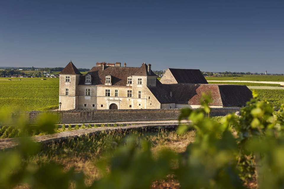 Discover Burgundy & Alsace – Premium Adventure - Exodus Adventure Travels - France - Image 21