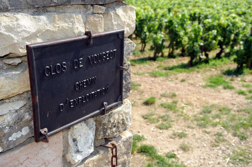 Discover Burgundy & Alsace – Premium Adventure - Exodus Adventure Travels - France - Image 7
