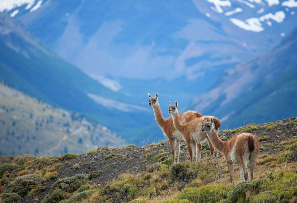 Discover Chile - Exodus Adventure Travels - Chile - Image 22
