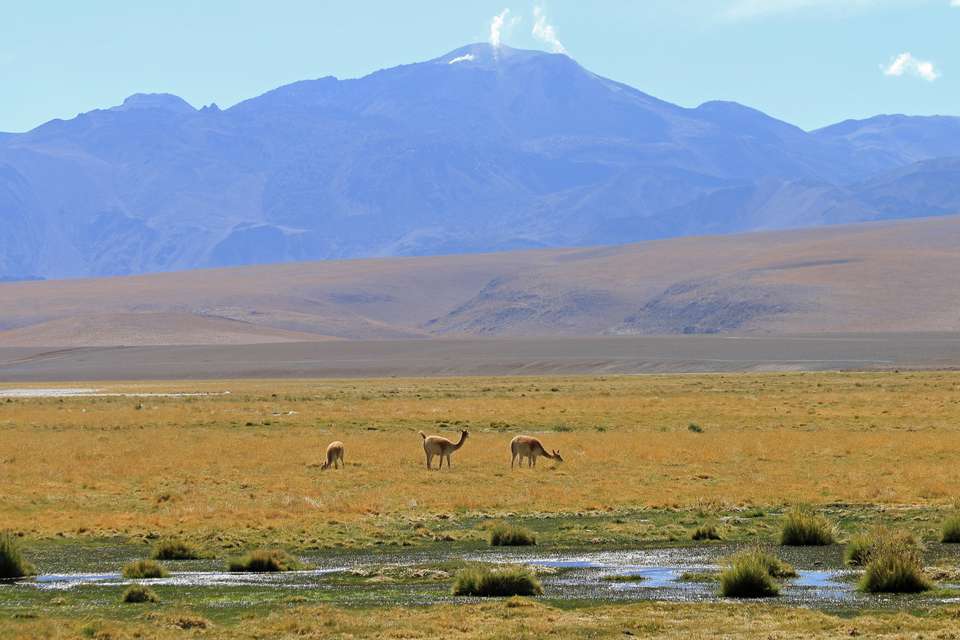 Discover Chile - Exodus Adventure Travels - Chile - Image 20