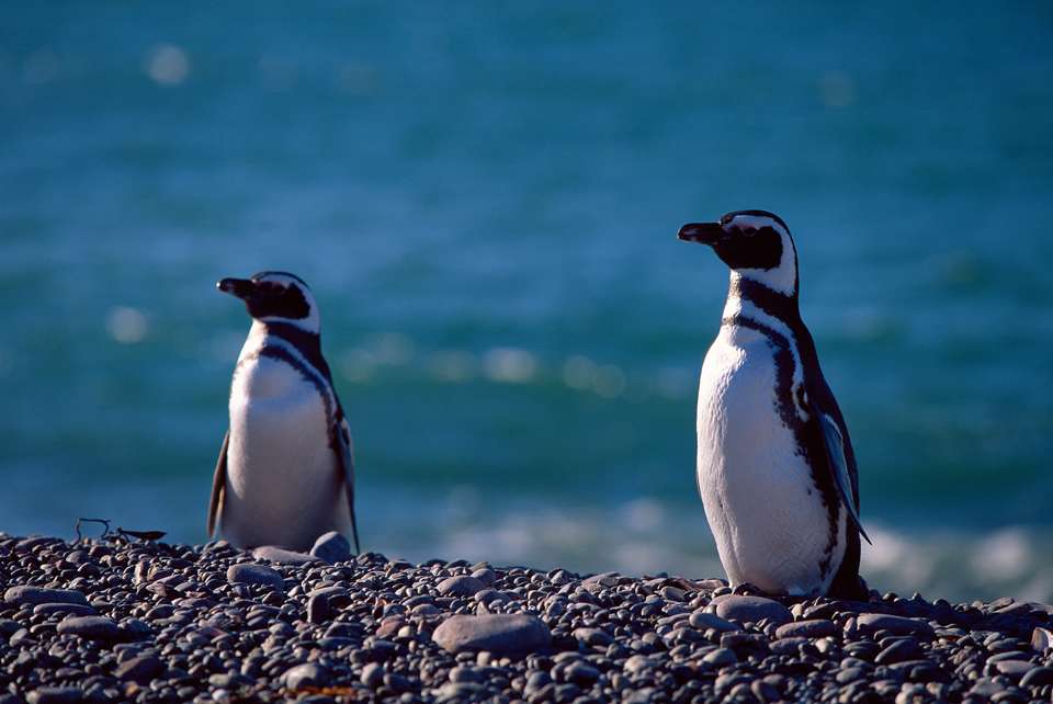 Discover Chile - Exodus Adventure Travels - Chile - Image 17