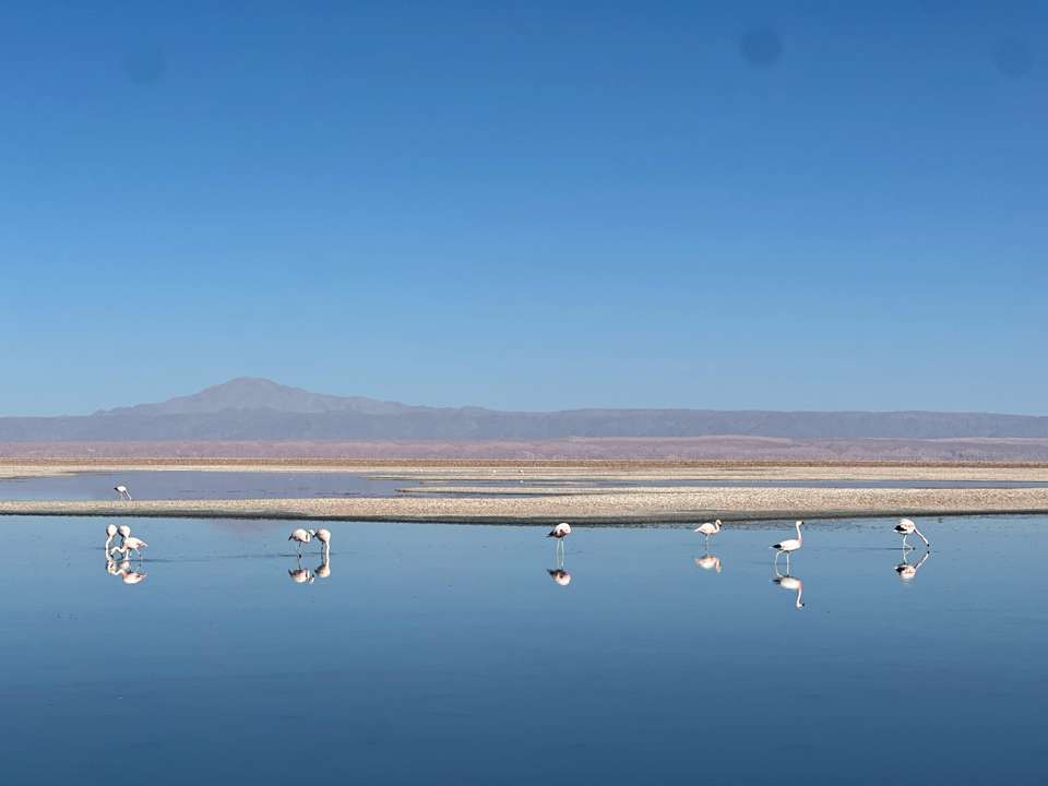 Discover Chile - Exodus Adventure Travels - Chile - Image 5