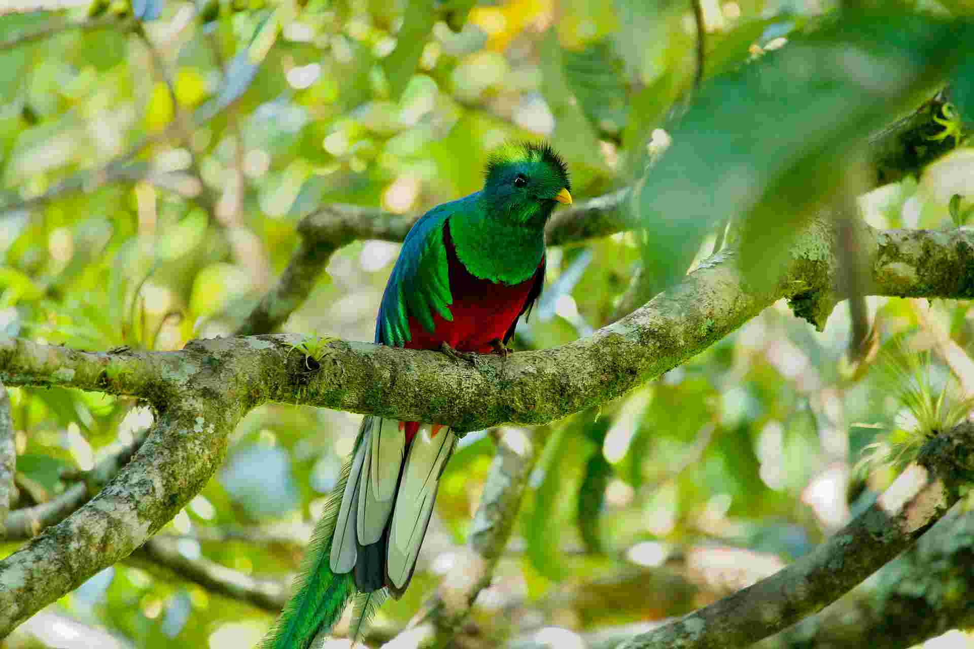 Discover Costa Rica