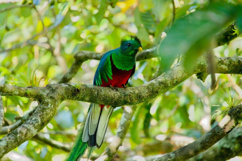 Discover Costa Rica - Exodus Adventure Travels - Costa Rica - Image 14