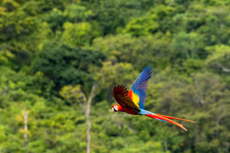 Discover Costa Rica - Exodus Adventure Travels - Costa Rica - Image 7
