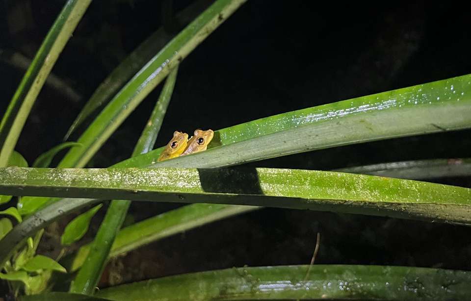 Discover Costa Rica - Exodus Adventure Travels - Costa Rica - Image 3