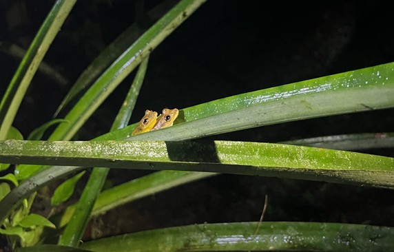 Image 3 of 22