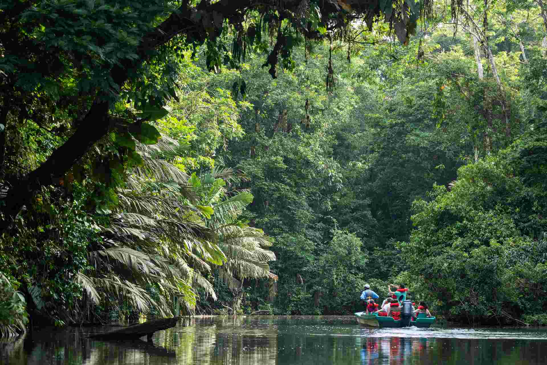 Discover Costa Rica - with Dominical