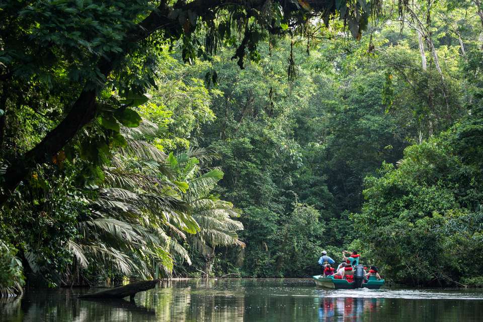 Discover Costa Rica – Coastal Edition - Exodus Adventure Travels - Costa Rica - Image 15