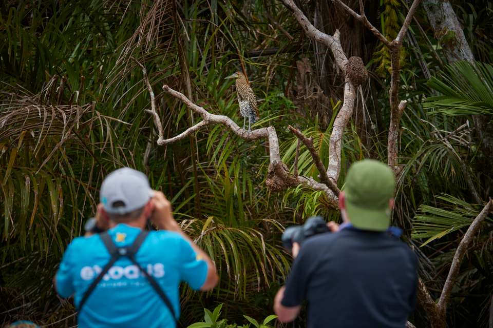 Discover Costa Rica – Coastal Edition - Exodus Adventure Travels - Costa Rica - Image 9
