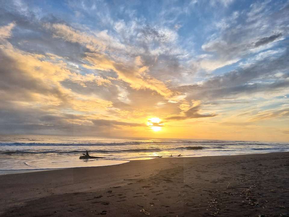 Discover Costa Rica – Coastal Edition - Exodus Adventure Travels - Costa Rica - Image 4