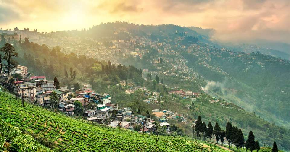 Disover Darjeeling and Bhutan - Explore - India - Image 4