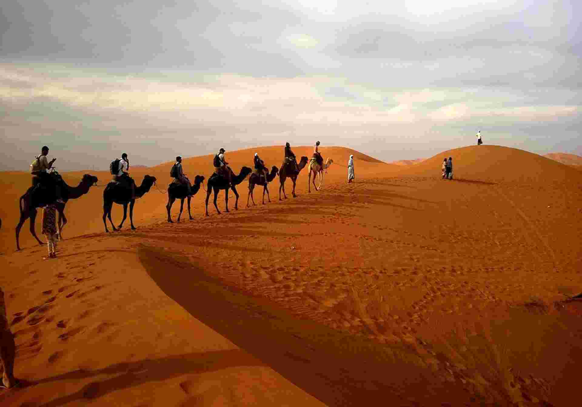 Discover Dubai and Abu Dhabi