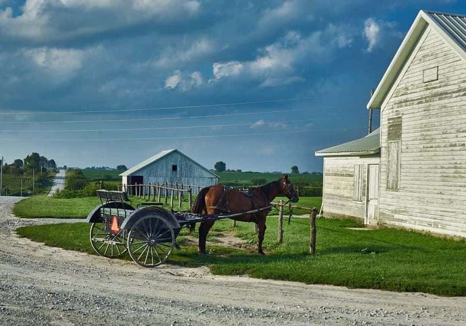 Discover Eastern US and Canada - Indus Travels - USA - Image 9