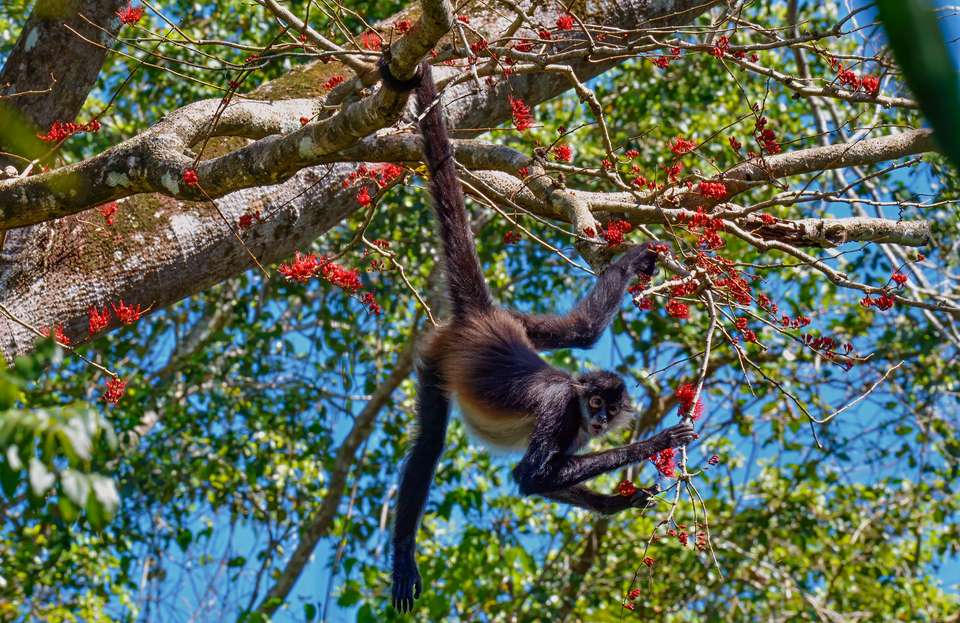 Discover Guatemala - Exodus Adventure Travels - Guatemala - Image 12